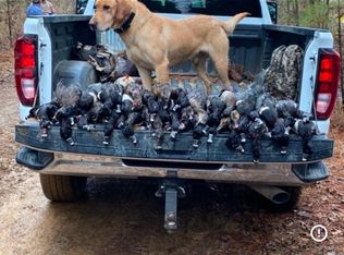 0 Oaks Rd, Summerton, SC 29148