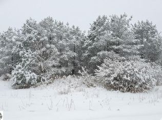 1 Spruce Hollow Trce, Fife Lake, MI 49633