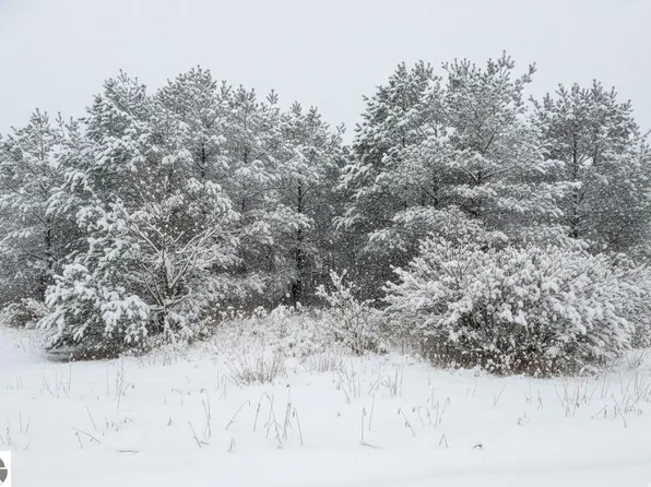 1 Spruce Hollow Trce, Fife Lake, MI 49633