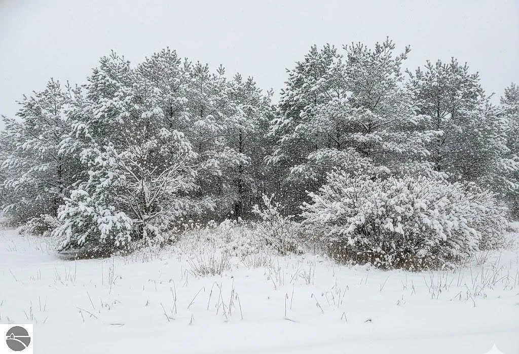 1 Spruce Hollow Trce photo 1