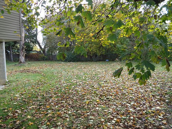 Rear Yard
