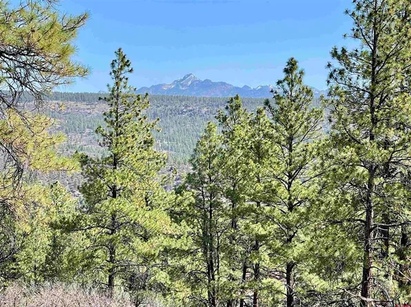 252 Starlight Place, Pagosa Springs, CO 81147