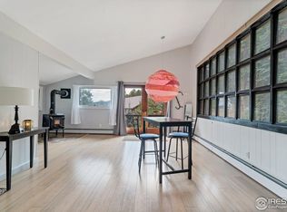 602 W 3rd St, Nederland, CO 80466