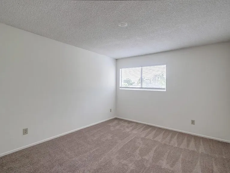 4002 Camino Calma — Photo 19