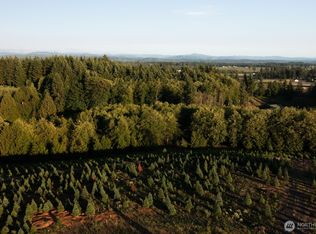 387 Leonard Rd, Onalaska, WA 98570