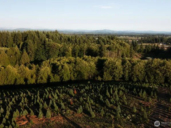 387 Leonard, Onalaska, WA 98570