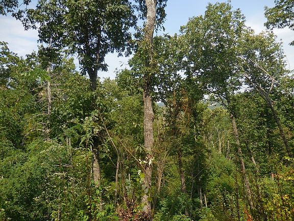 4th image of 523 Crooked Ridge Rd Lot 523