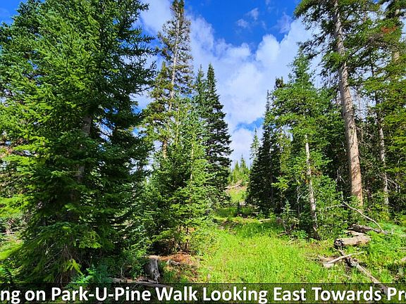 5th image of 567 Park U Pine Walk