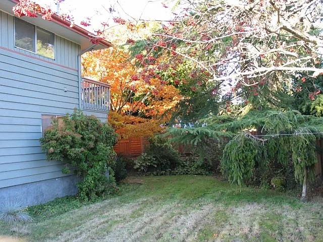 16302 Densmore Ave N — Photo 3