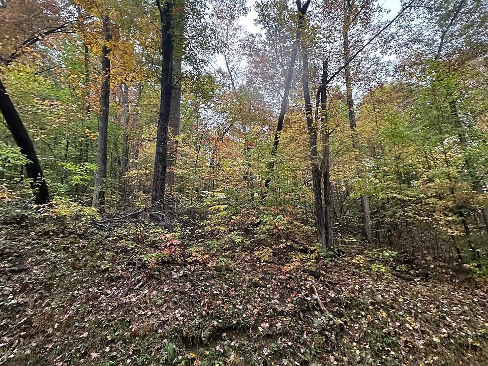 1st image of Coon Creek Rd
