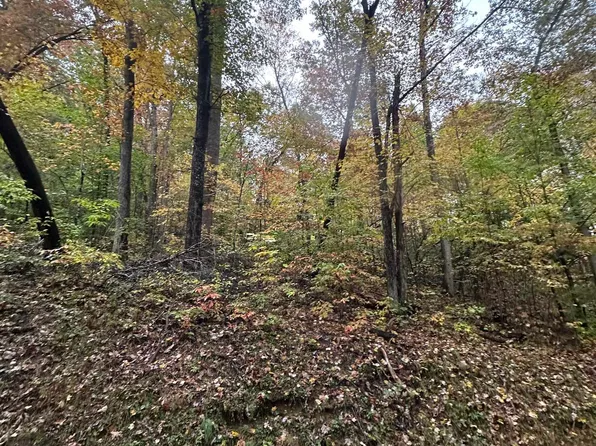 Coon Creek Rd, Camden On Gauley, WV 26208