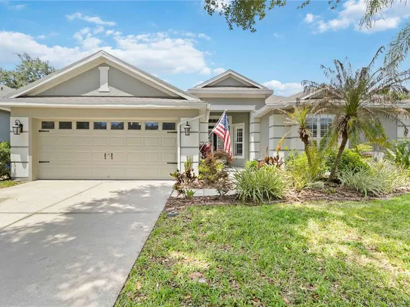 6110 Whimbrelwood Dr, Lithia, FL 33547