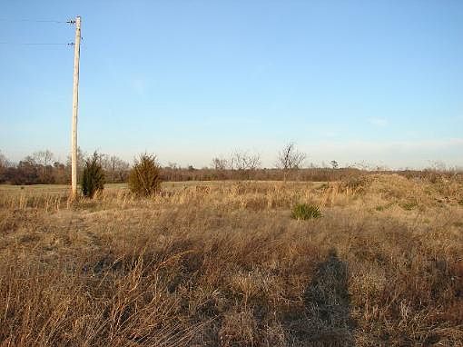 2nd image of 253 Ricks Ln