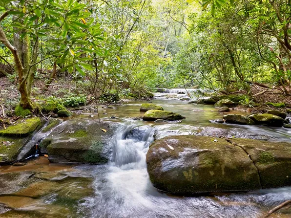 0 Wolf Pen Trl, Ellijay, GA 30536