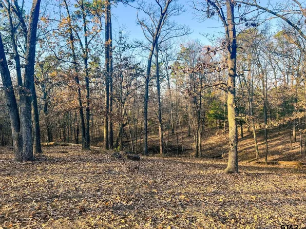 836 County Road 2601, Pittsburg, TX 75686