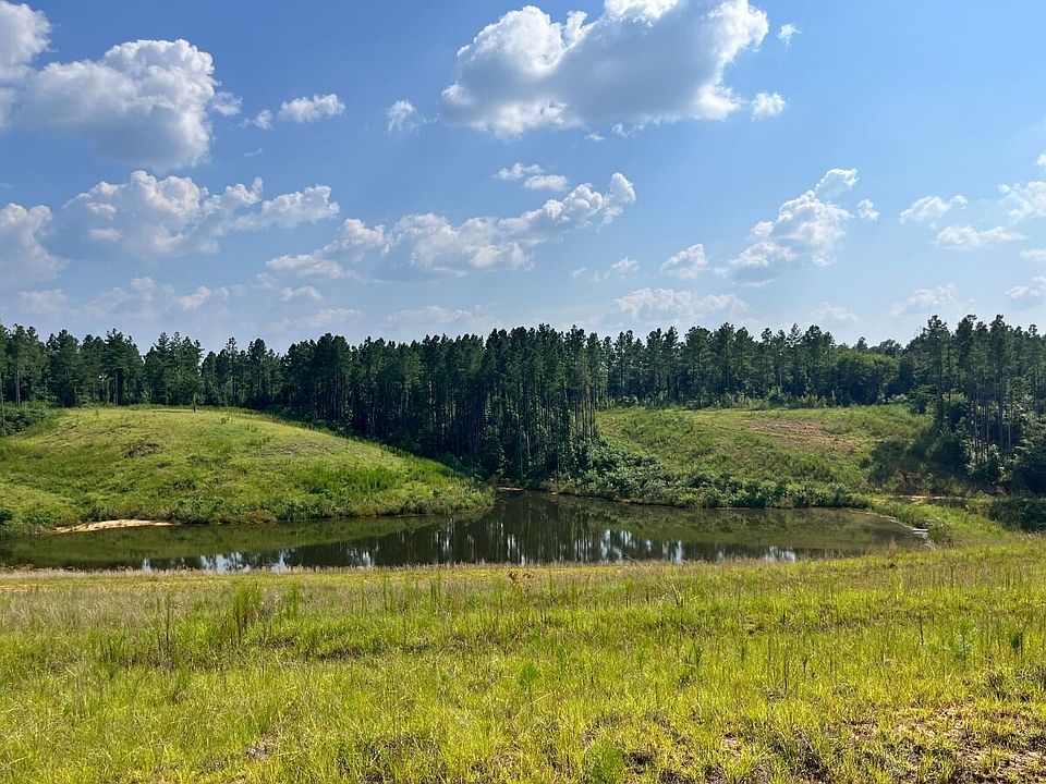 View of +/-2 Acre Pond from Elevated Homesite
