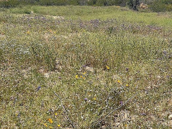 3rd image of LOT 1 Highway 89