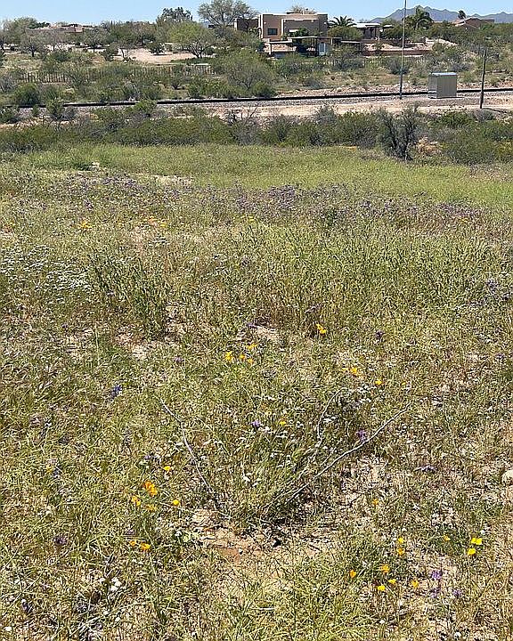 View of Back of land