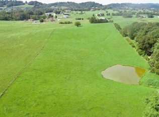 3785 Sinking Creek Rd, Greenback, TN 37742