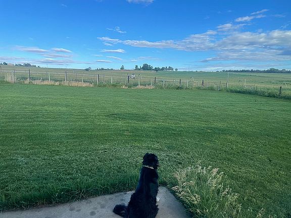 Back yard