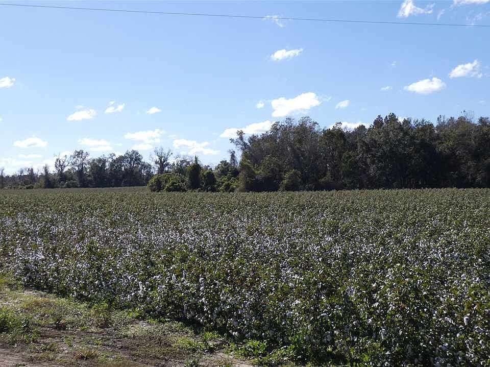 2nd image of Ashville Hwy