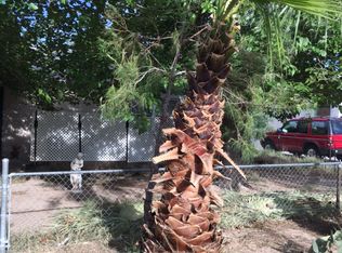 428 N 16th St, Las Vegas, NV 89101