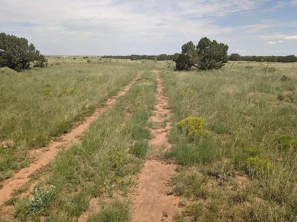 4325 Zeniff Rd, Heber, AZ 85928