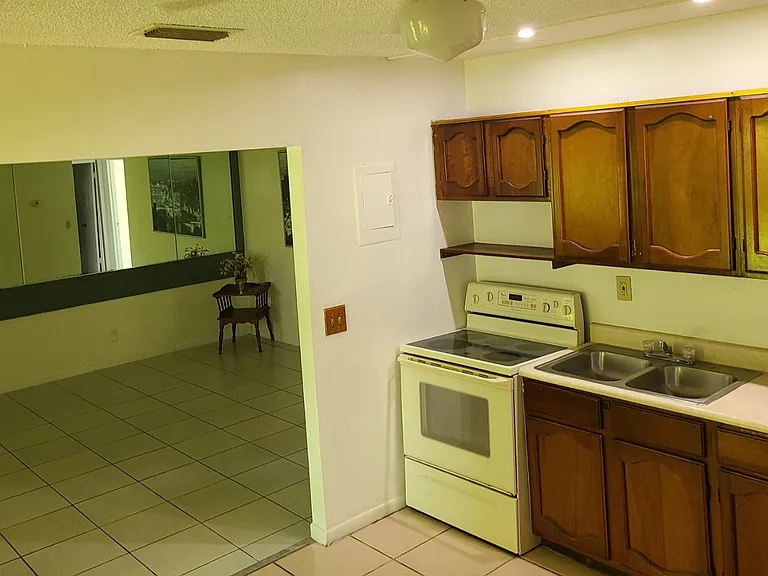 Kitchen and living room