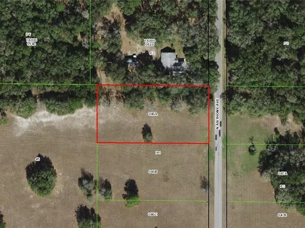 2988 N Anthony Ave, Hernando, FL 34442
