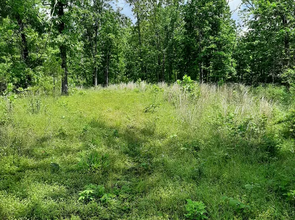 000 Missouri 99, Birch Tree, MO 65438