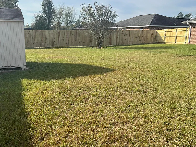 Shed for storage in the backyard
