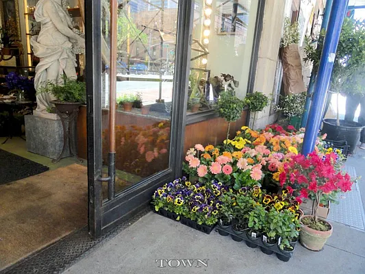 Rented by Town Residential | media 31