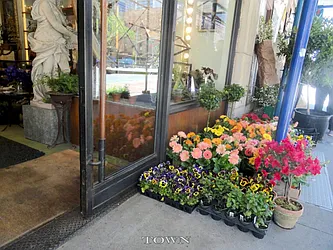 Rented by Town Residential