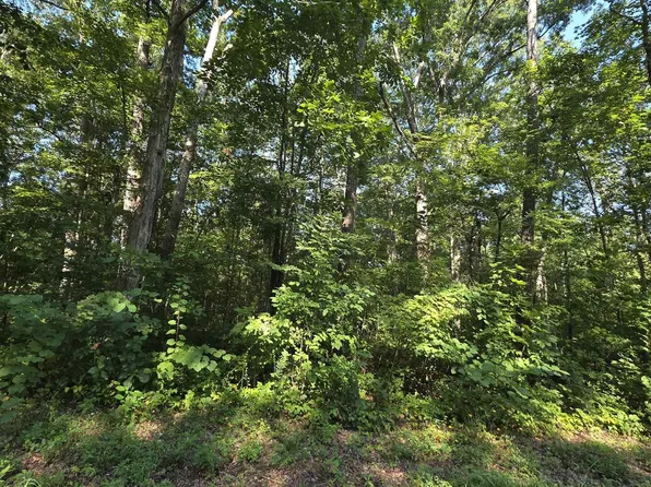 37 County Road 249, Leesburg, AL 35983