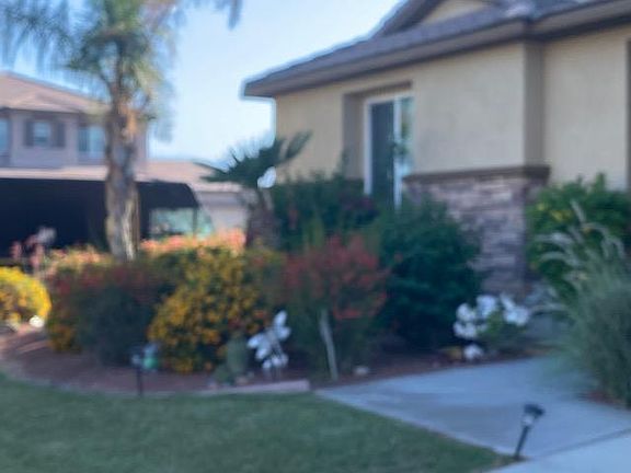 Left side of front of house.