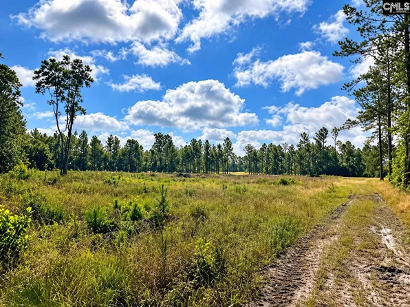 316 Ennis Ln, Bowman, SC 29018