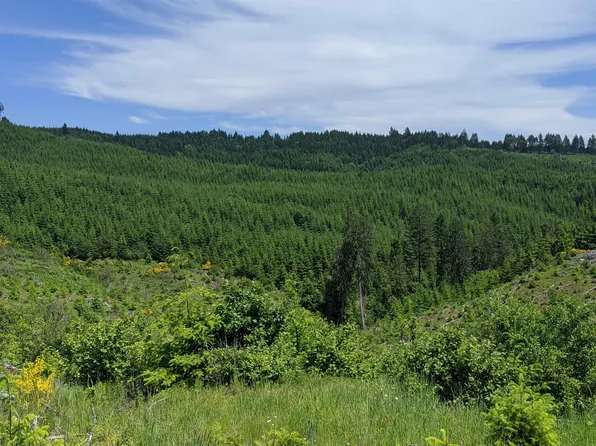 NW Timmerman Rd #3, Forest Grove, OR 97116