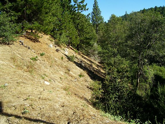 4th image of 22431 Briarwood Ln