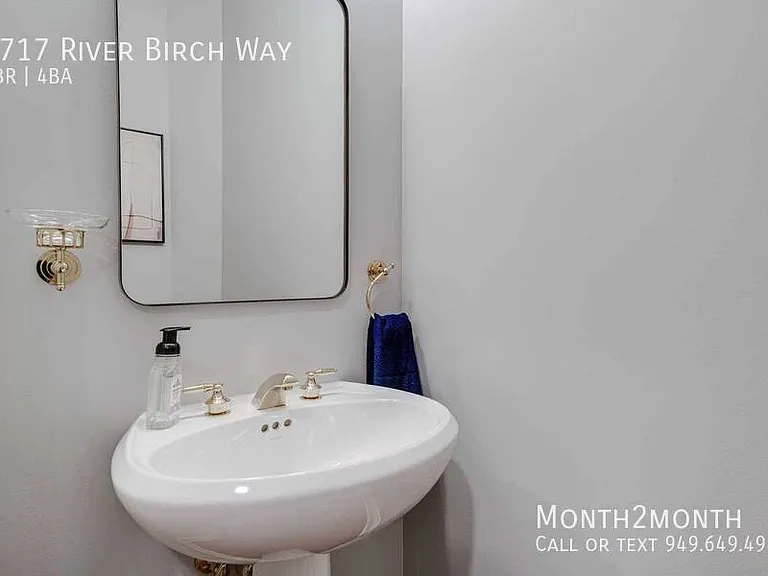 1717 River Birch Way — Photo 30