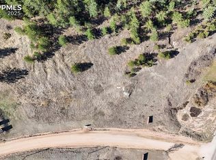 711 Crystal Peak Rd, Florissant, CO 80816