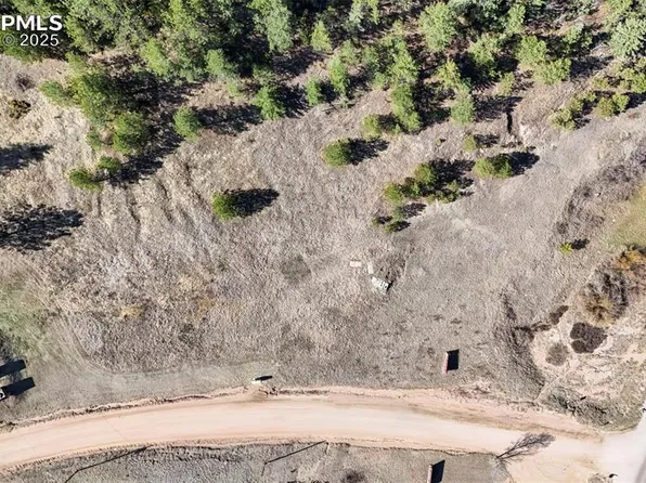 711 Crystal Peak Rd, Florissant, CO 80816