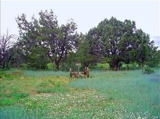 420 Squaw Apple Rd, Durango, CO 81301