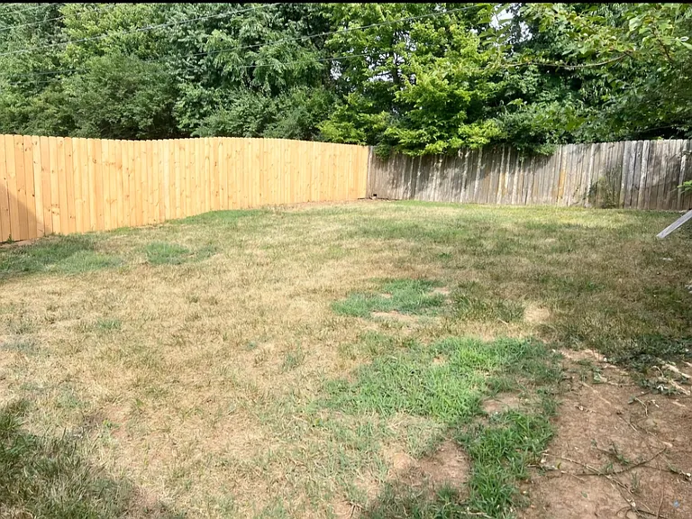 204 Maple Leaf Ln — Photo 5