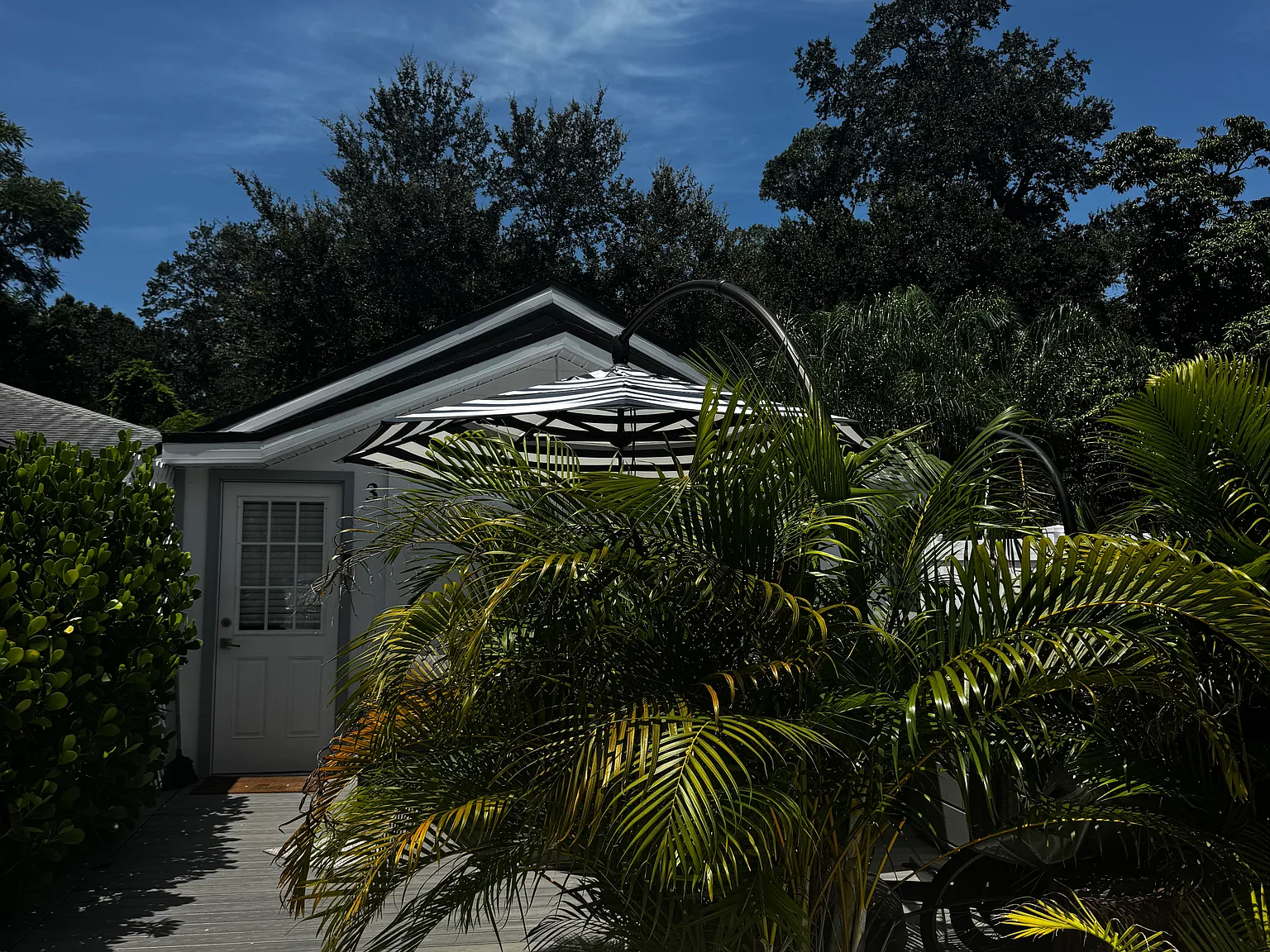 1 bed, 300 sqft, $1,350 — Photo 2