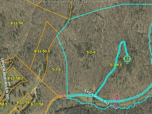 0 Parsoner Creek Rd, Branchland, WV 25506