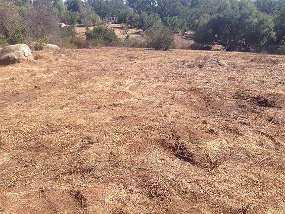 5th image of 10353 Burned Oak Ln