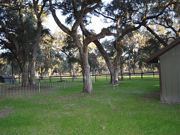 Backyard view