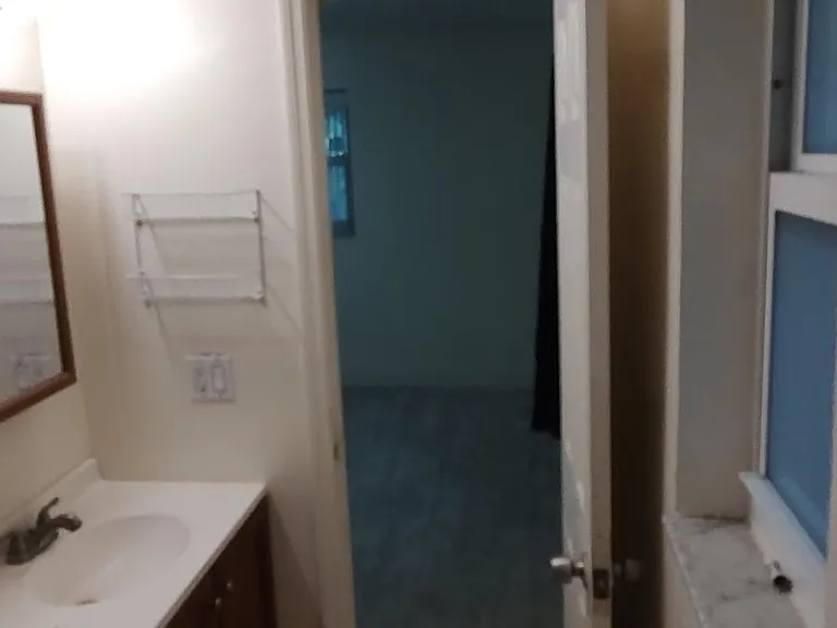 brand new master bathroom
