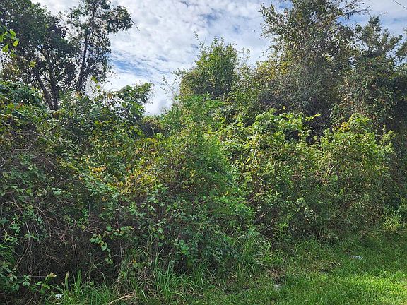 2nd image of 8 WOOD ACRE Lane
