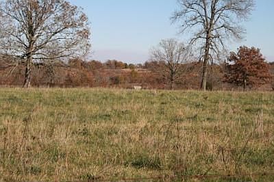 1st image of 10578 County Road 9790